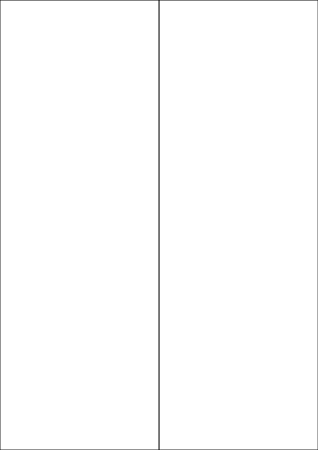 Rectangle Sticker Labels 295.2mm x 105mm