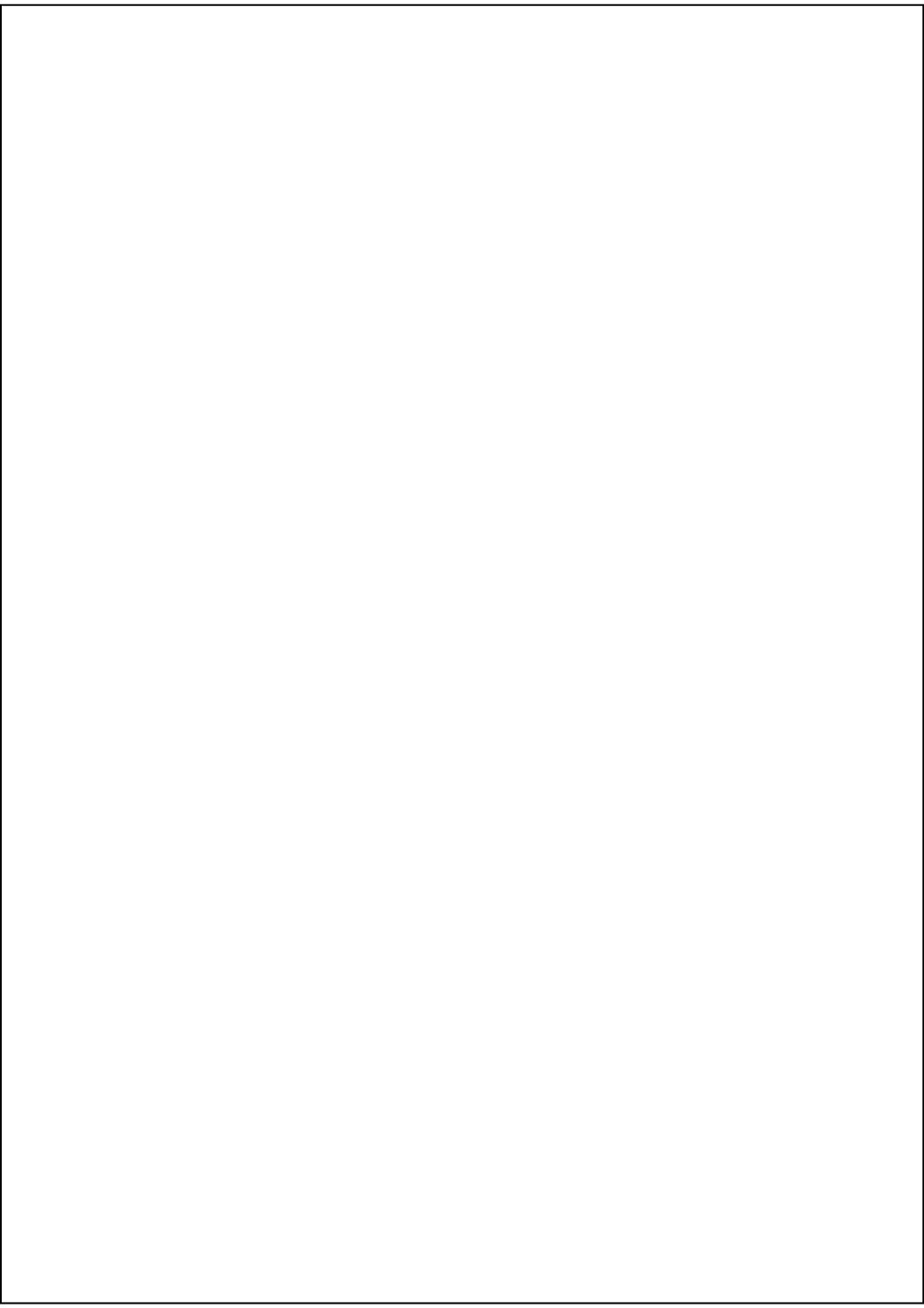 Rectangle Sticker Labels 295.2mm x 210mm